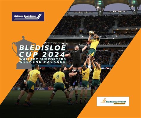 how to watch bledisloe cup 2024